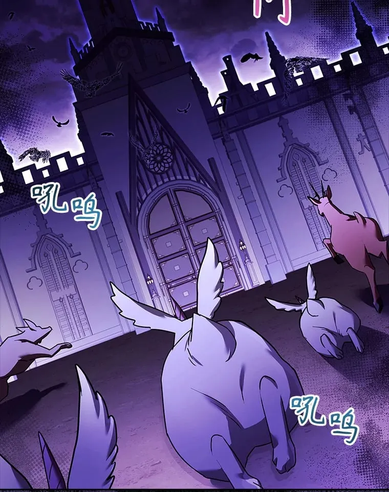 41.大放异彩 第21页