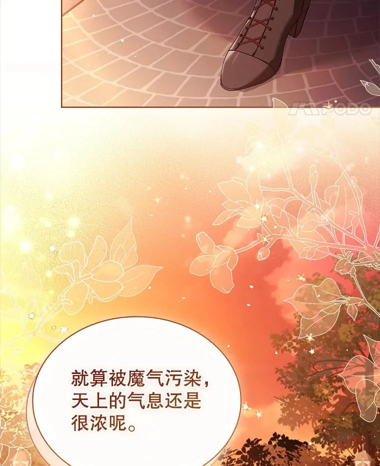 51.警告 第5页