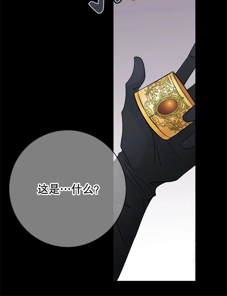 14.丢失手镯 第69页