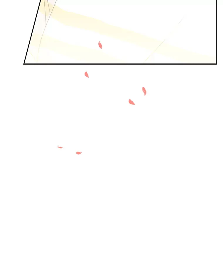 2.奇怪的顾锡雪和海鲜葱饼 第222页