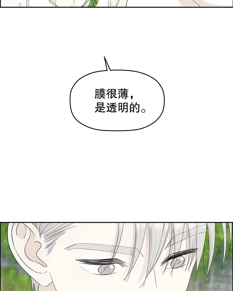 22.薄荷巧克力闯祸了~ 第35页