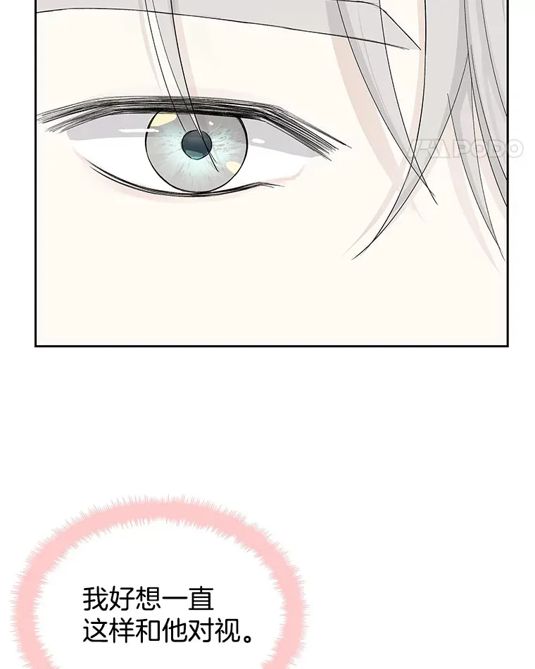 22.薄荷巧克力闯祸了~ 第40页