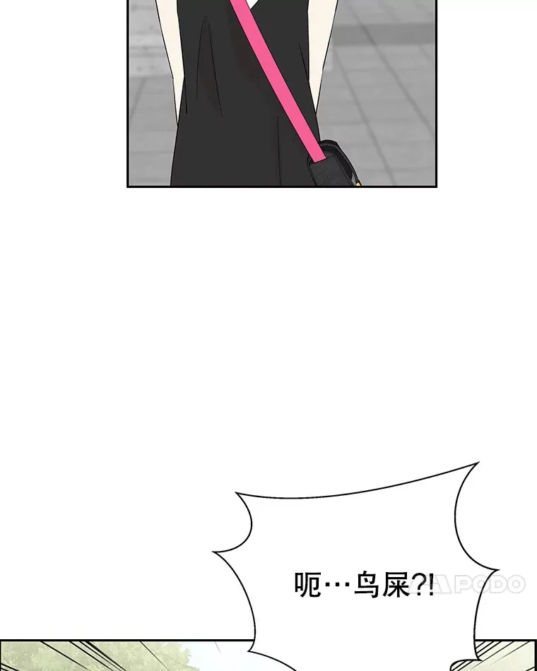 33.错误的相遇 第87页