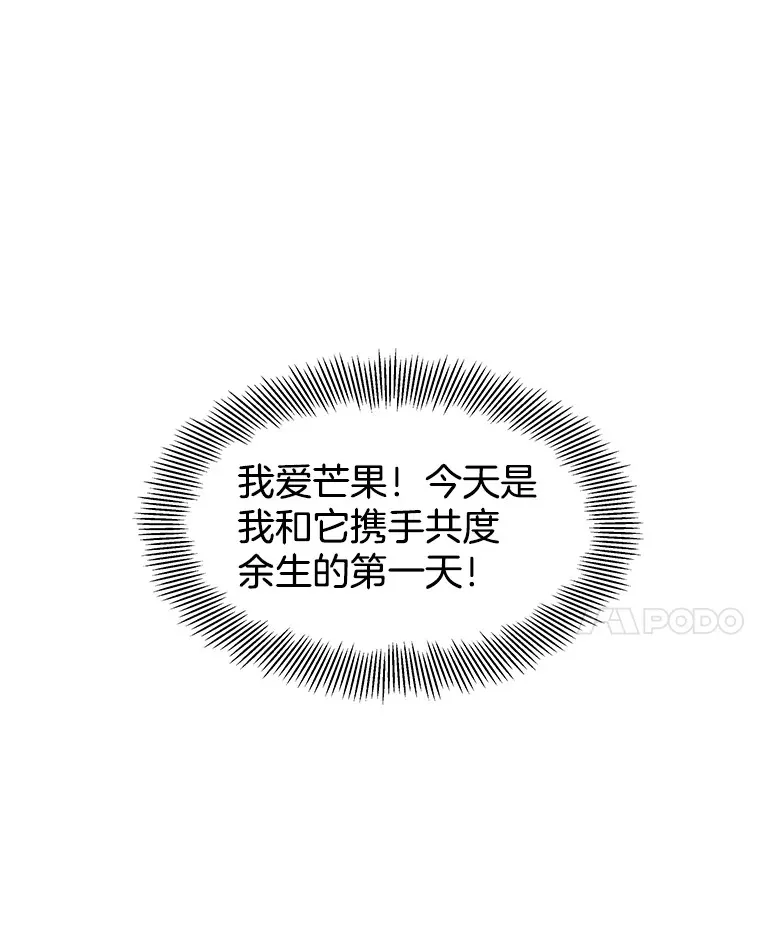 72.逃跑的地方-酒店芒果沙冰和下午茶套餐 第87页