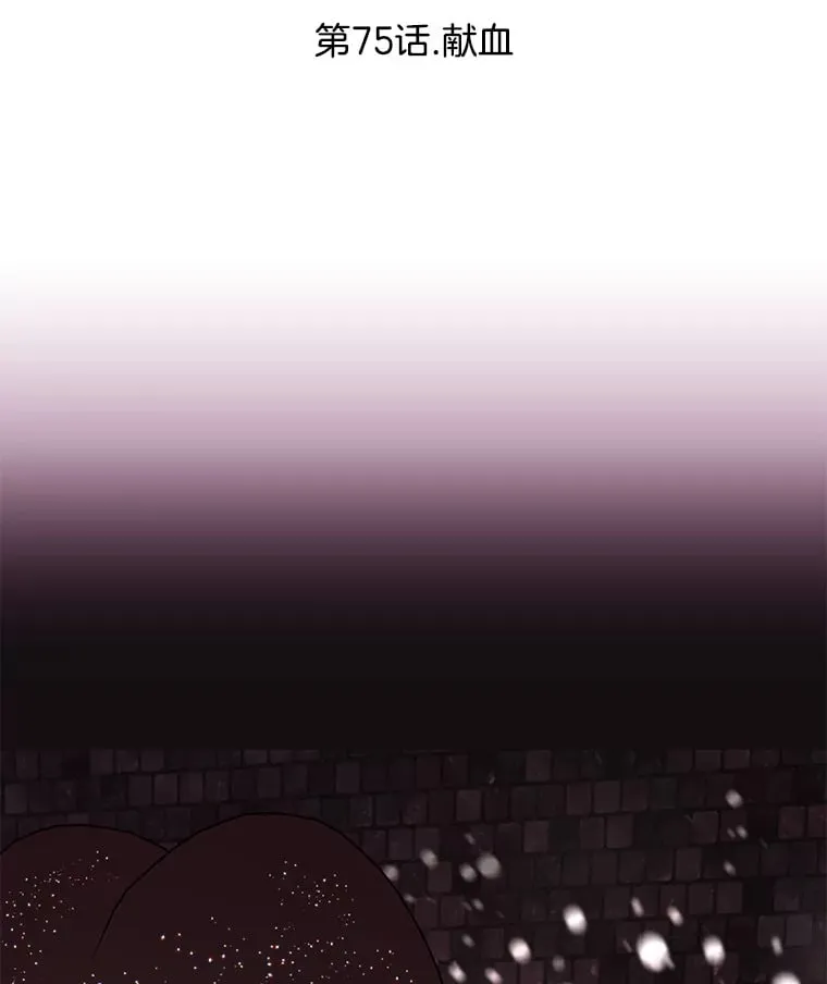 75.献血 第28页