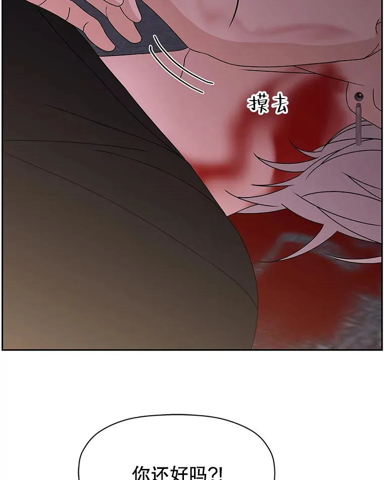 78.被撞了 第91页