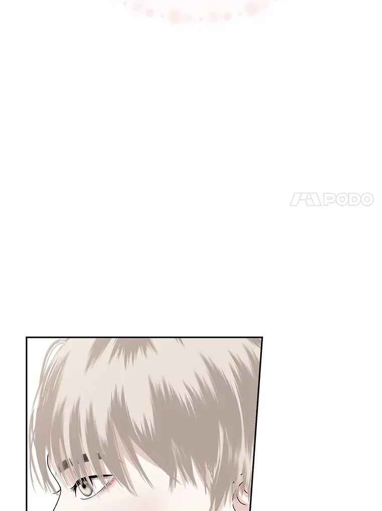 95.小狗和猫咪 第51页