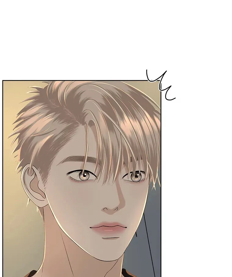 95.小狗和猫咪 第91页