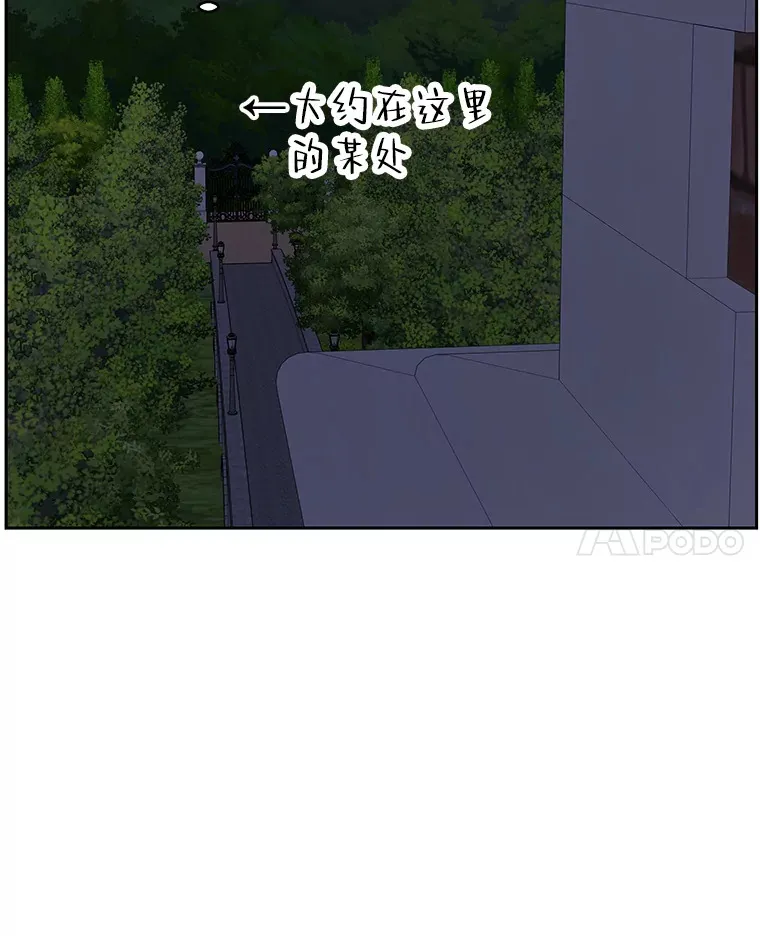 95.小狗和猫咪 第103页