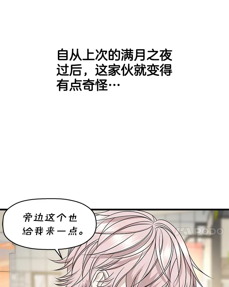 108.假普初级吸血鬼 第7页