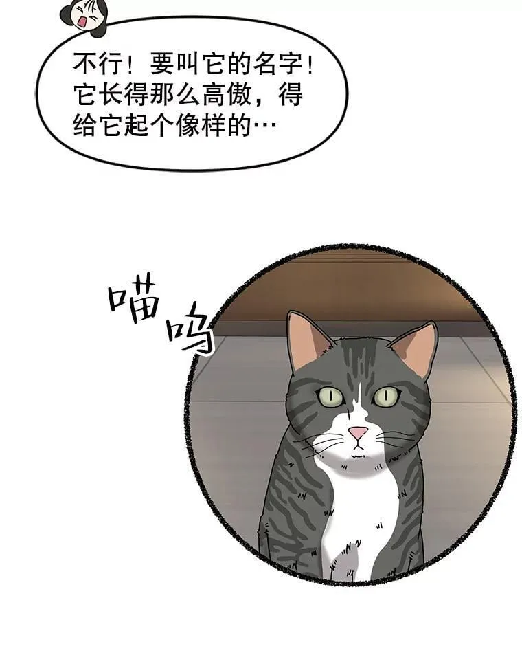 168.酒吧面试 第16页