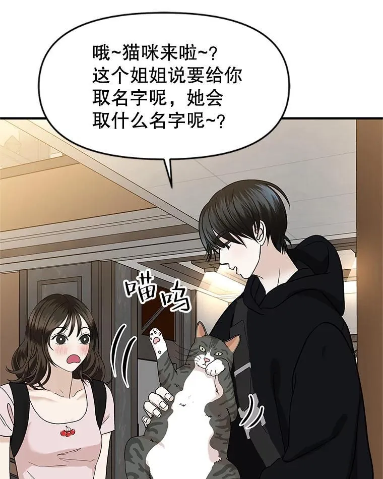 173.我们交往吧 第40页