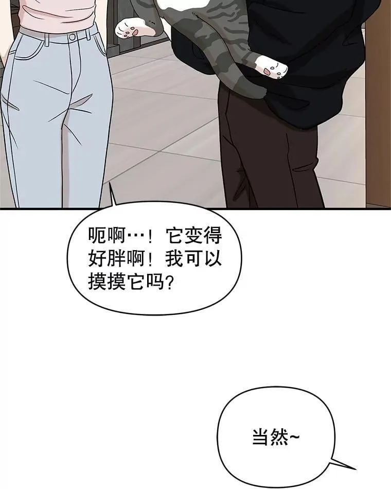 173.我们交往吧 第41页