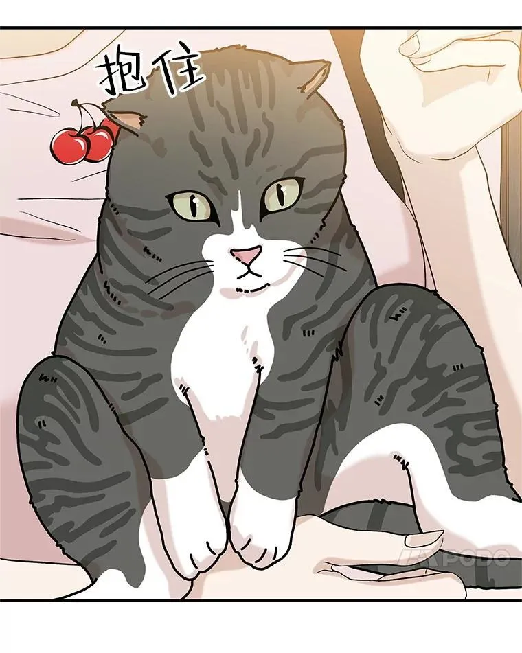 173.我们交往吧 第42页