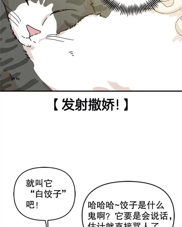 173.我们交往吧 第44页
