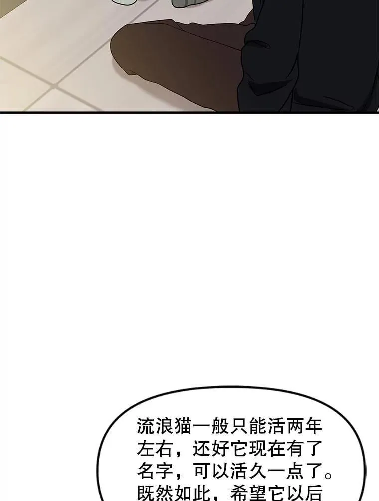 173.我们交往吧 第52页