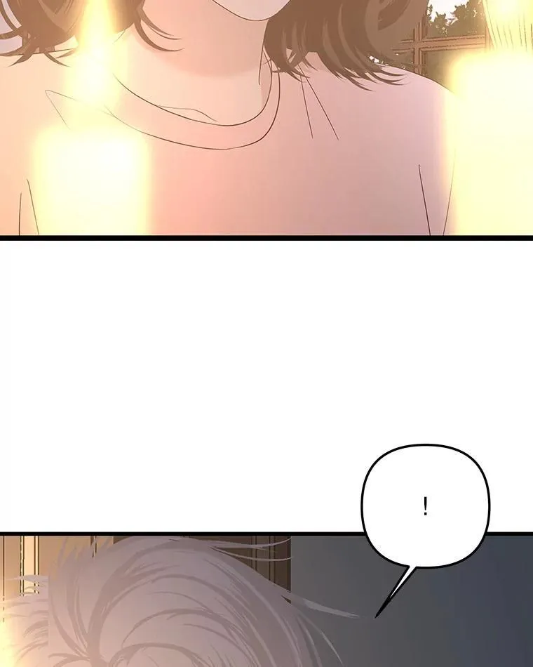 187.重新代吃 第28页