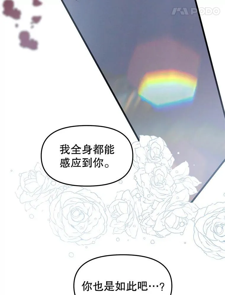 200.奥斯汀抵达 第12页