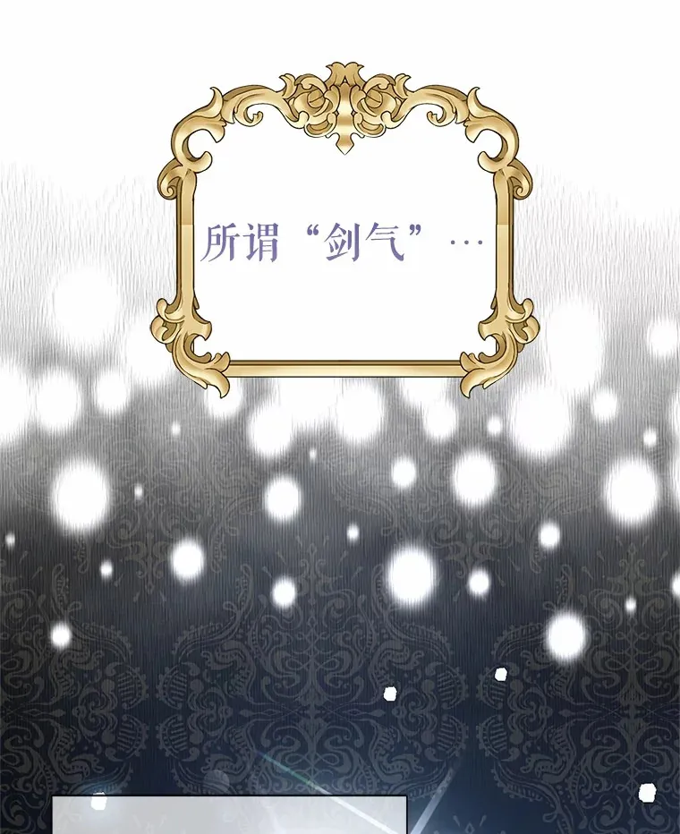 21.闪耀之剑 第88页