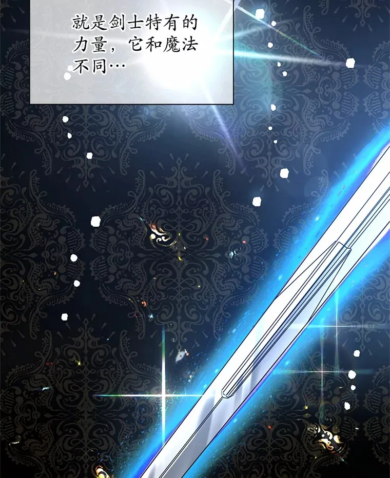 21.闪耀之剑 第89页