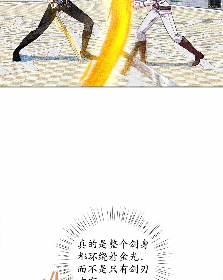 21.闪耀之剑 第99页