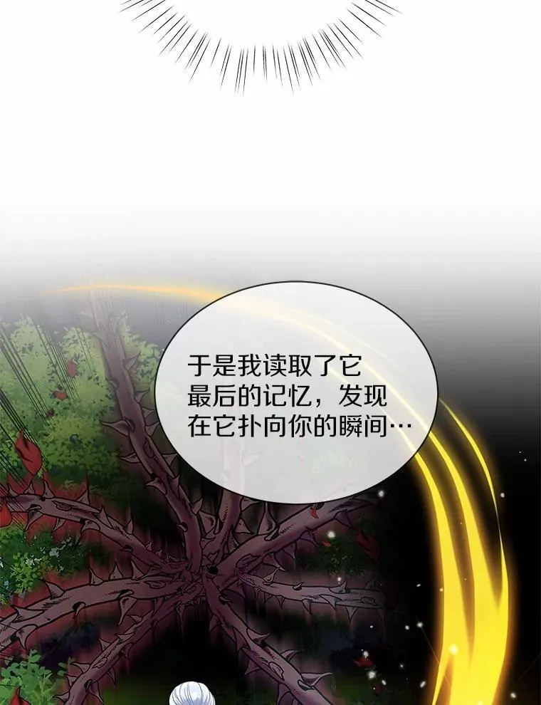 33.回忆 第17页