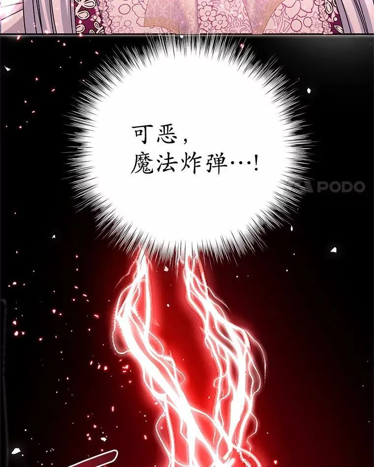 39.魔法炸弹 第95页