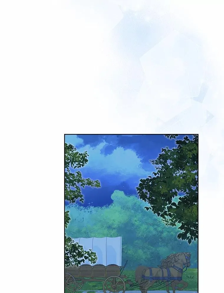 40.成功营救 第95页