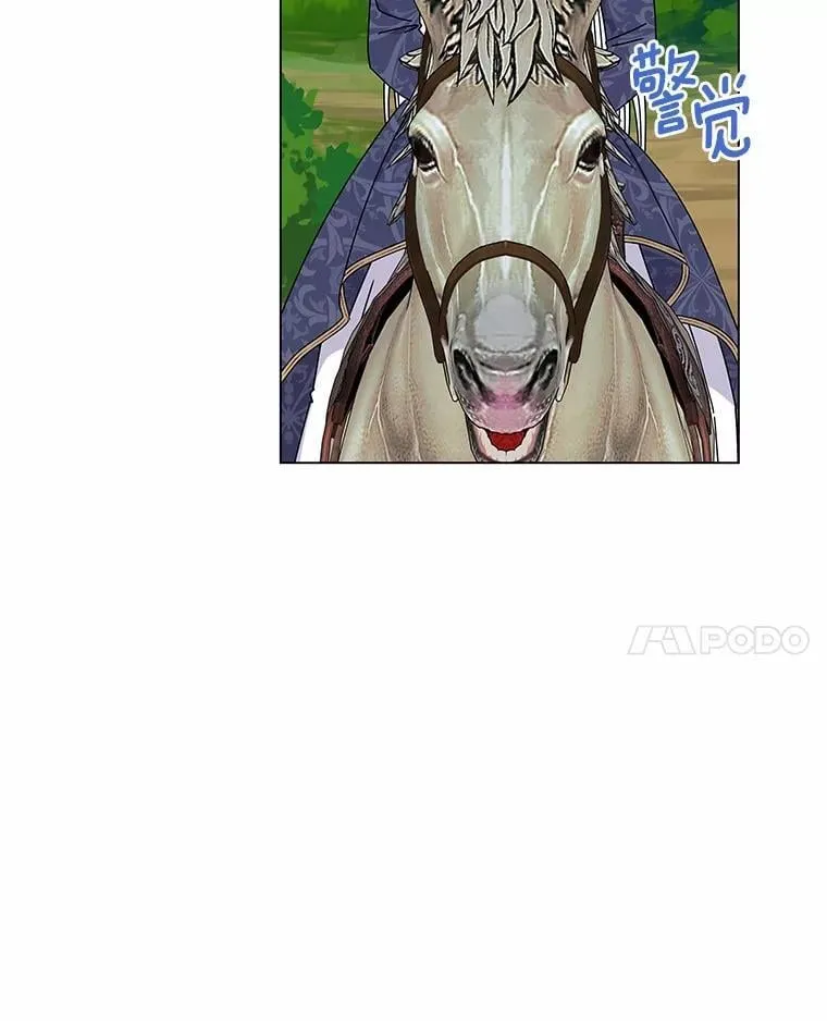 63.狩猎大赛 第45页