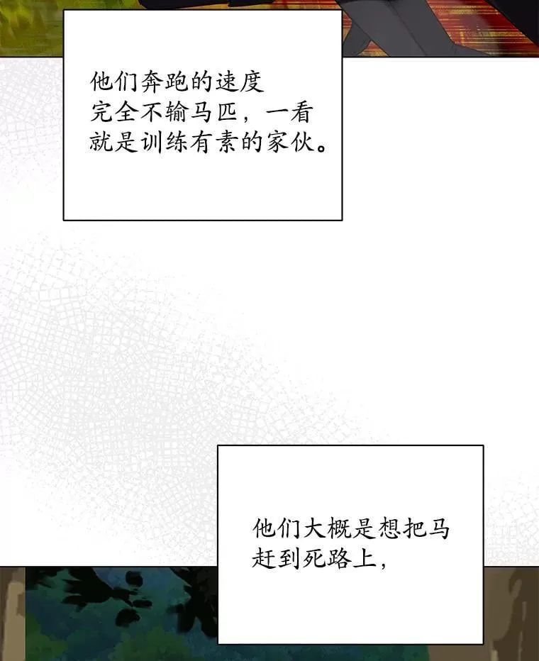 63.狩猎大赛 第75页