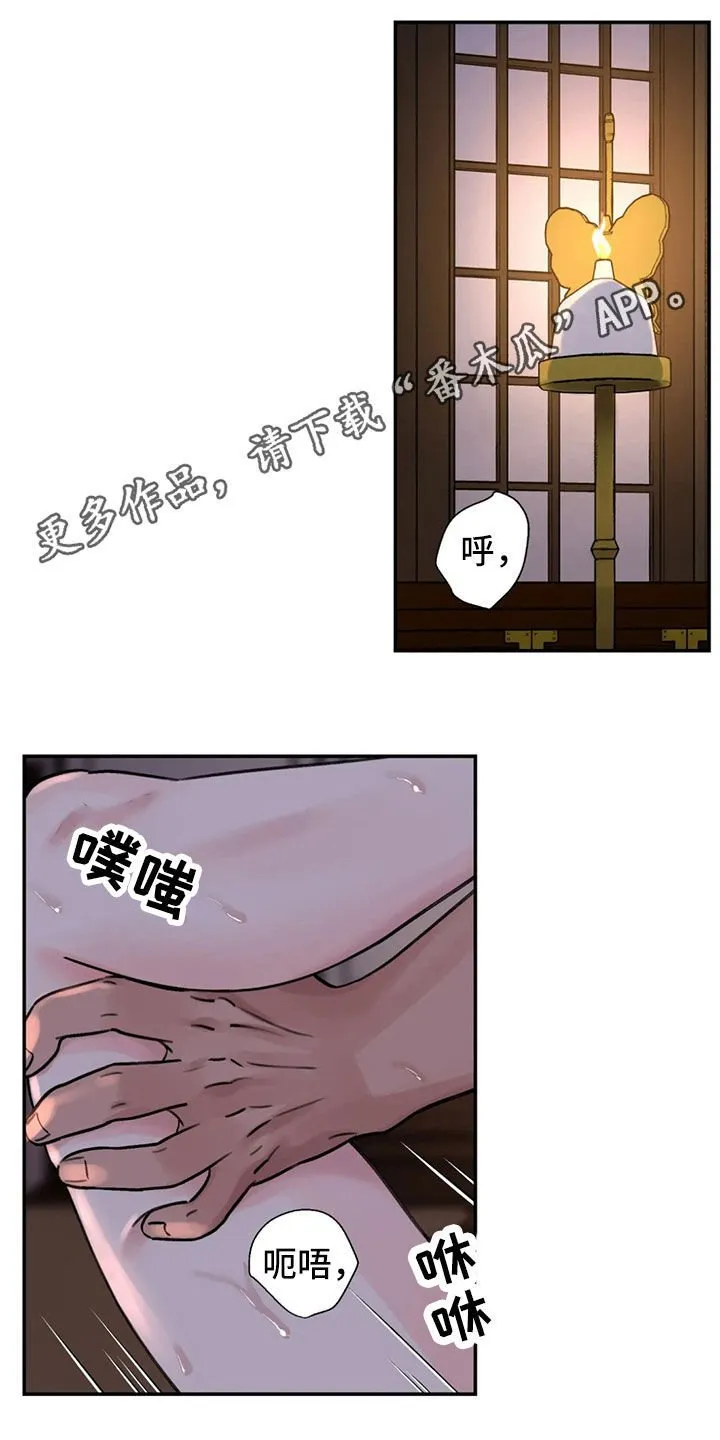 第19章：阴影 第1页