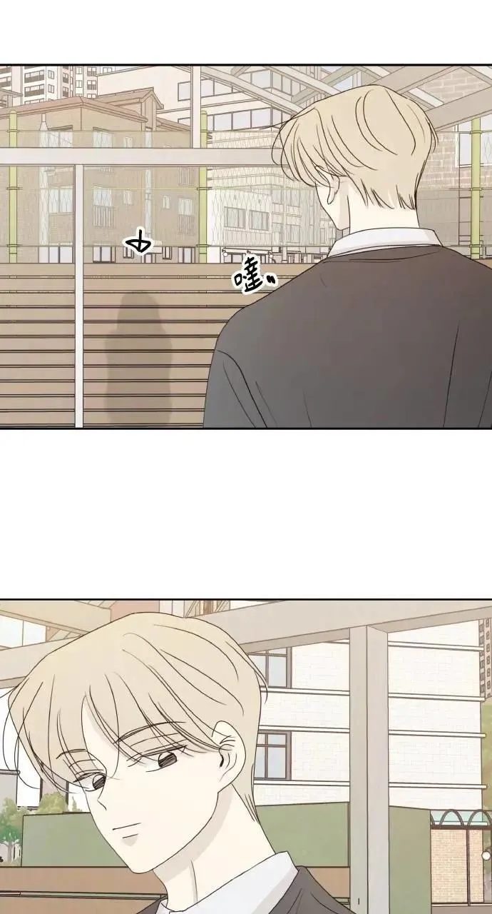 第39话 第41页