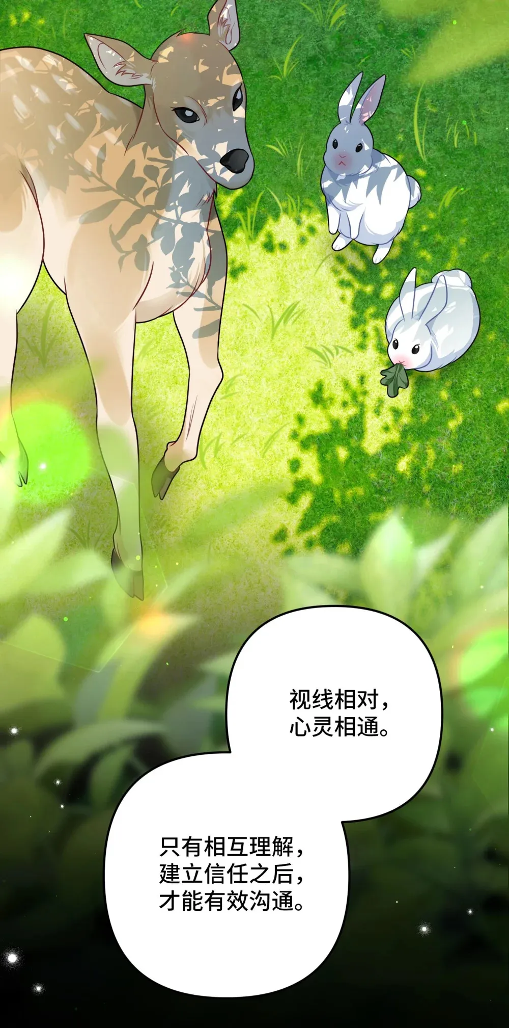 15 15 第31页