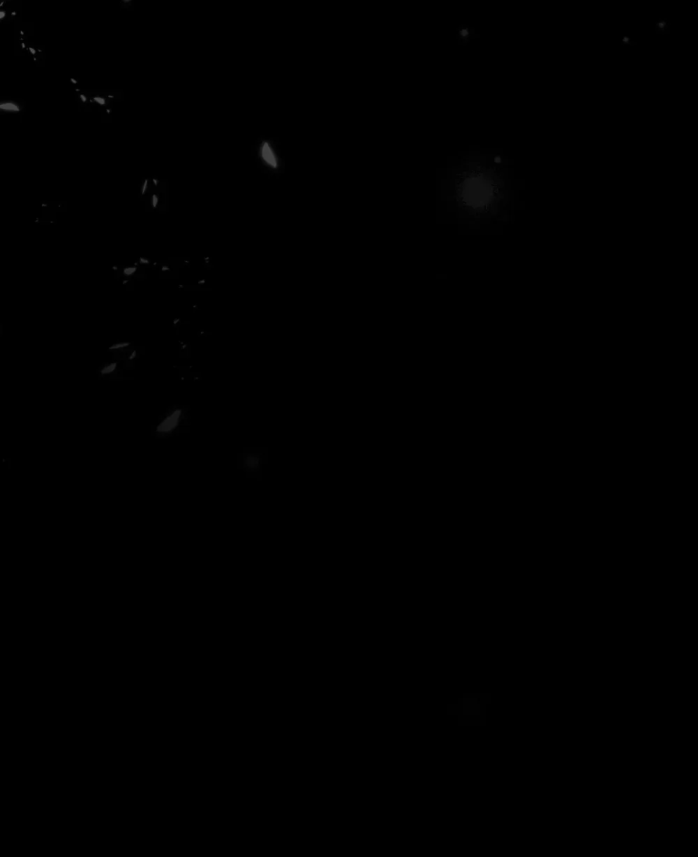 15 15 第107页