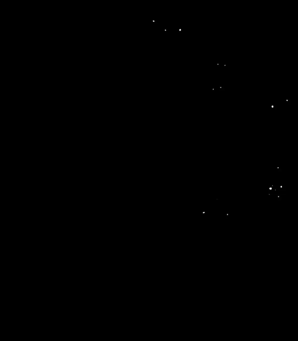 21 21 第113页