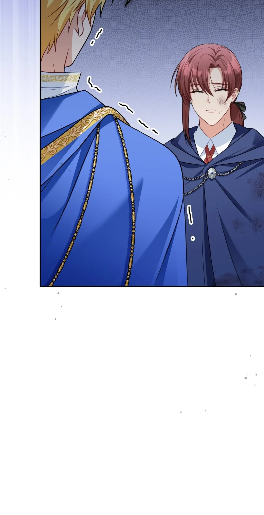 35 35 第43页