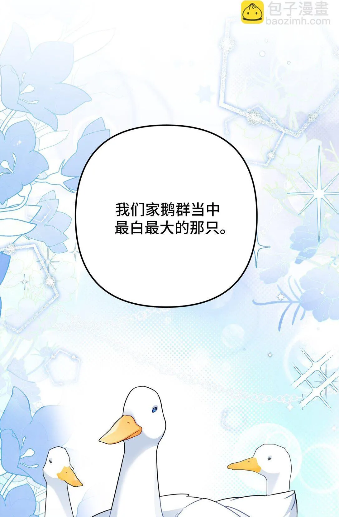 40 40 第22页