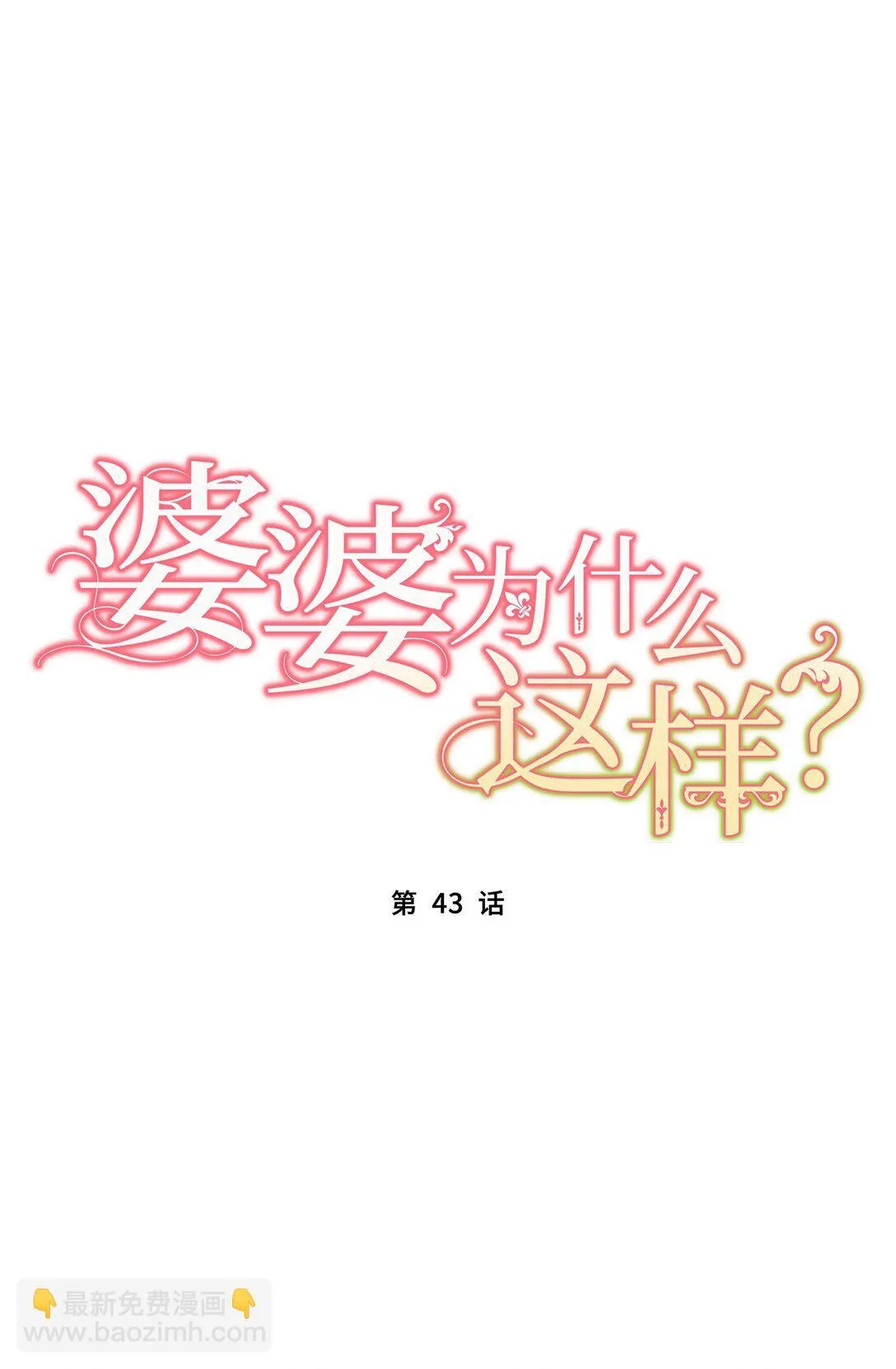 43 43 第17页