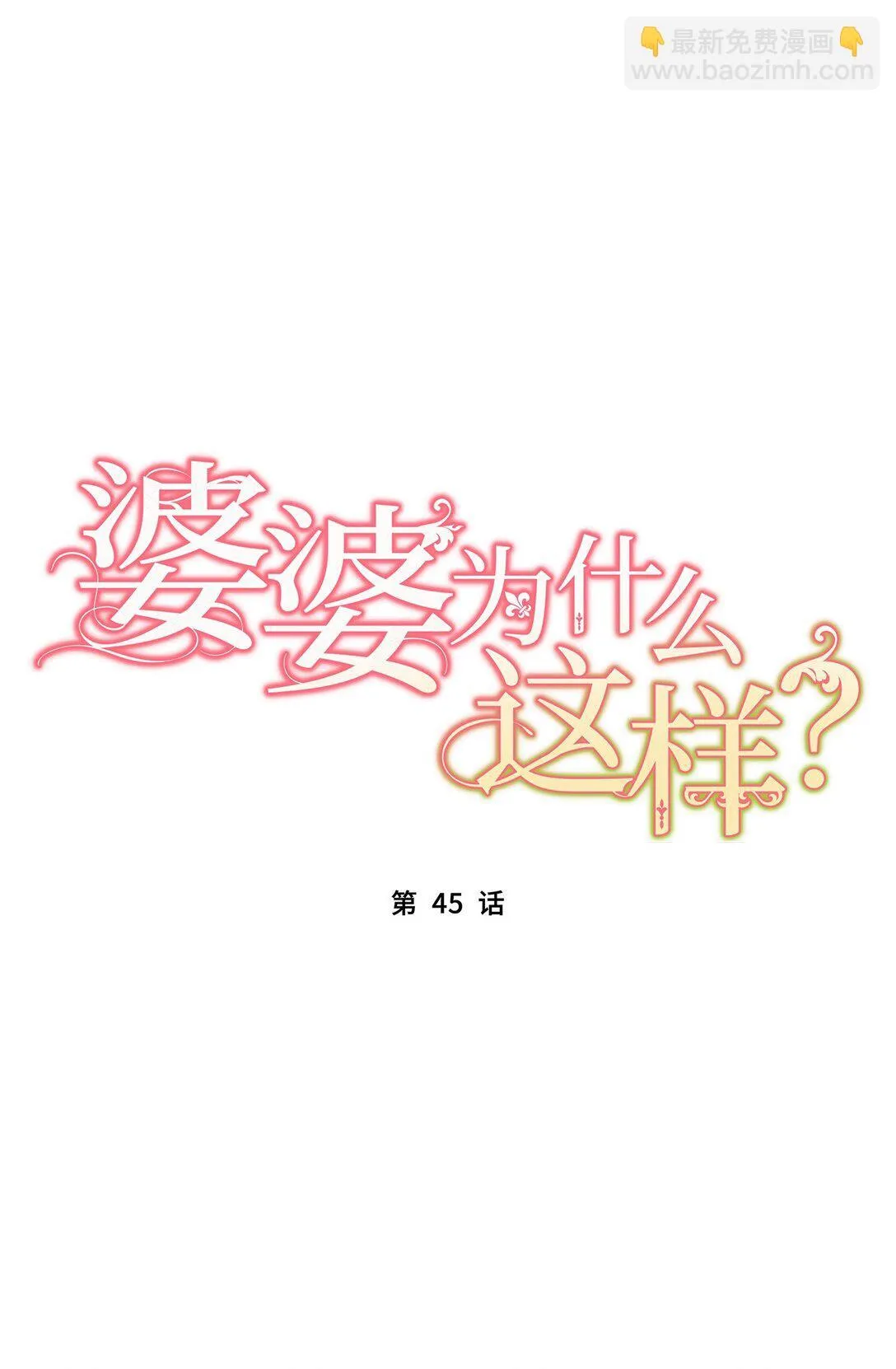 45 45 第27页