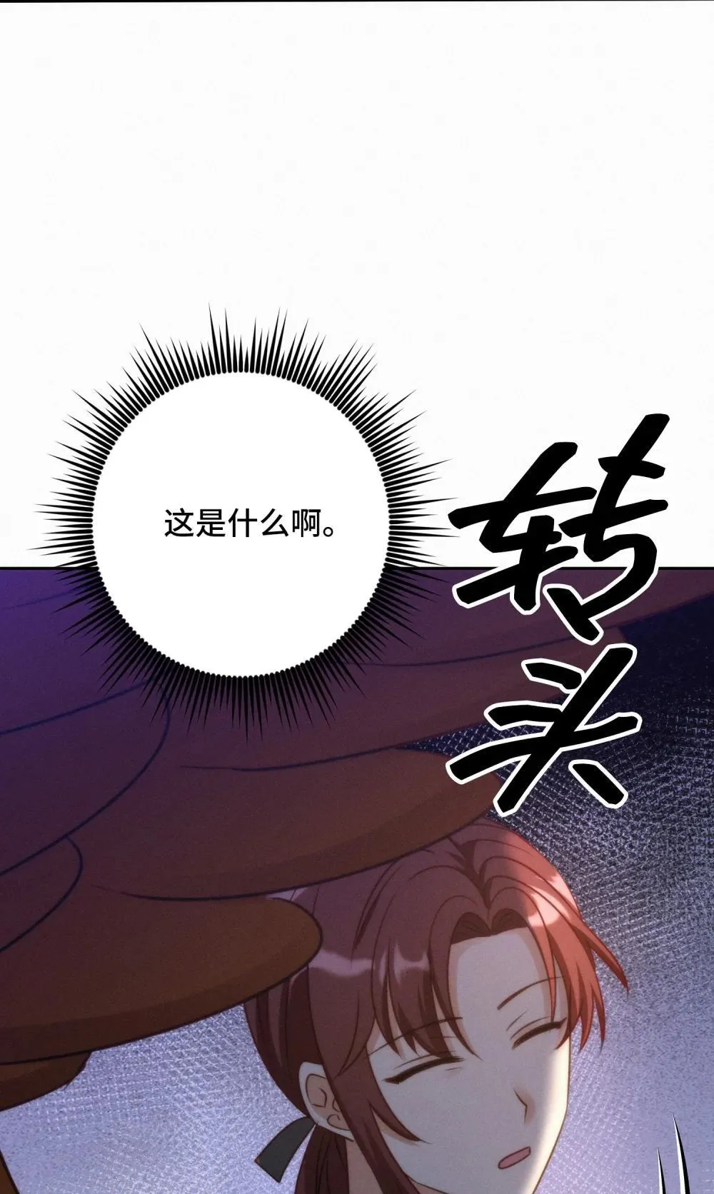 48 48 第43页