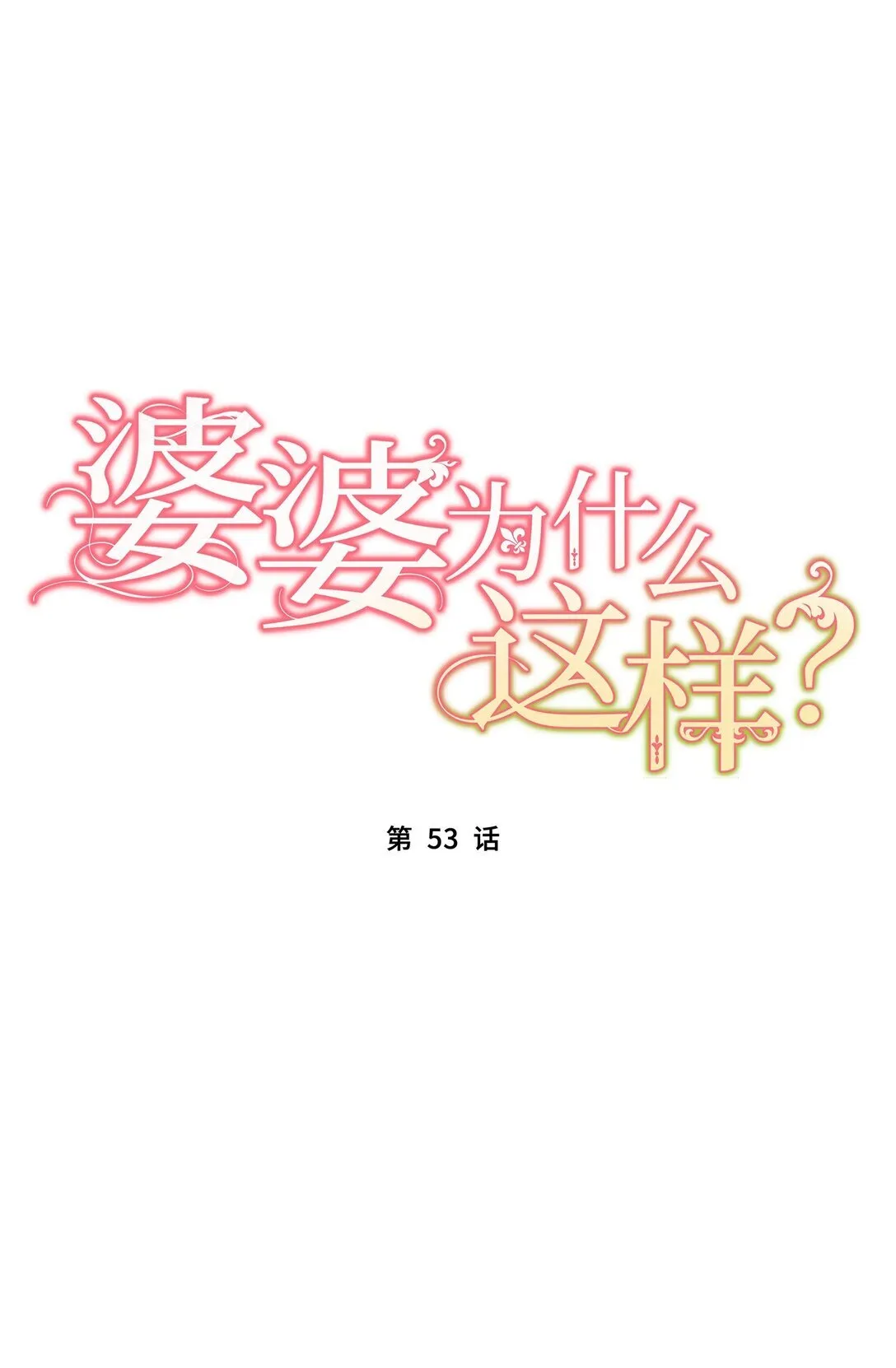 53 53 第17页