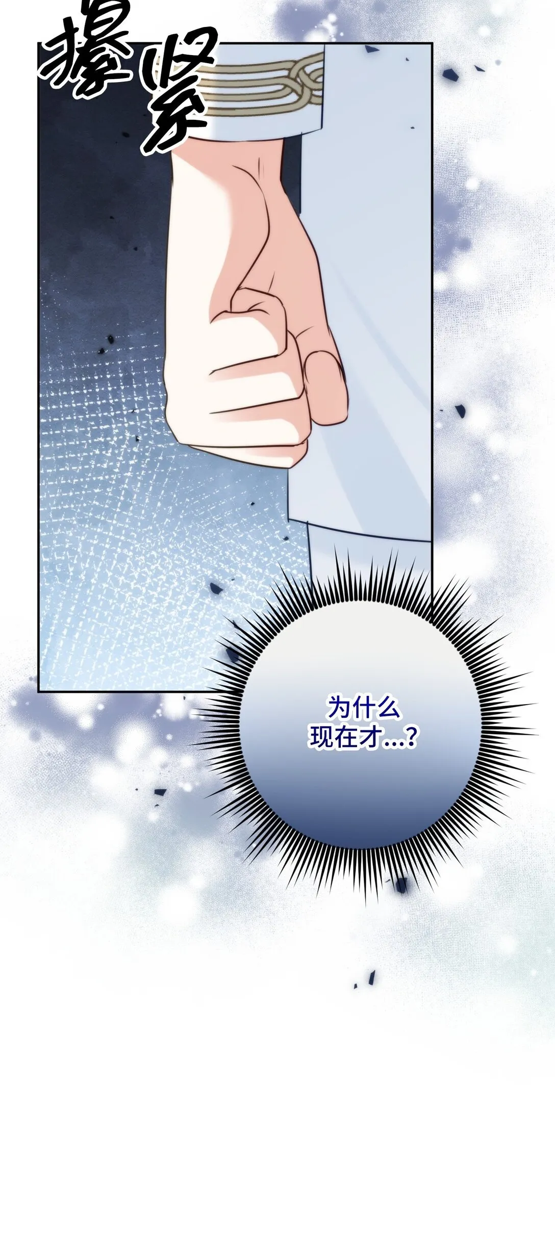 53 53 第56页