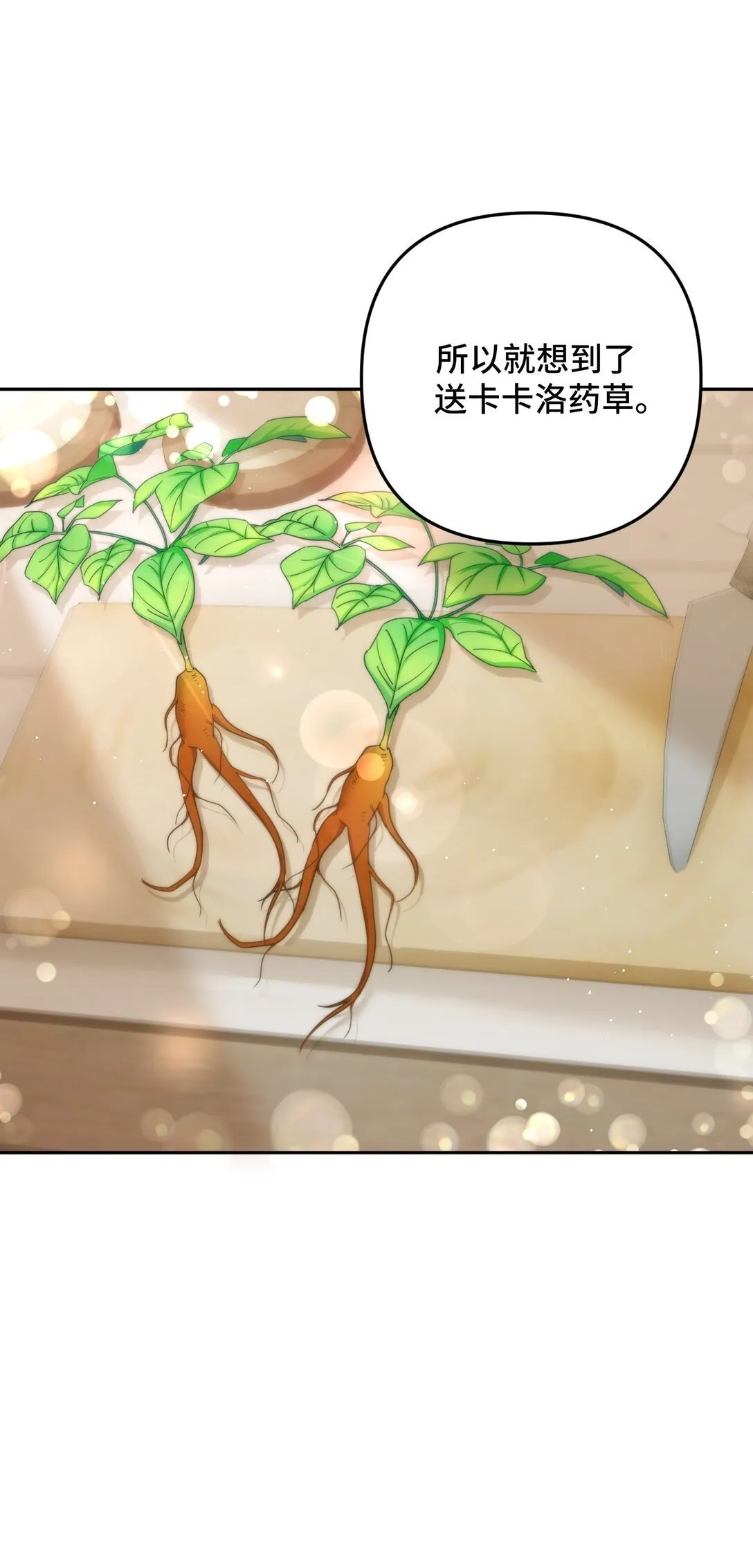 58 58 第16页
