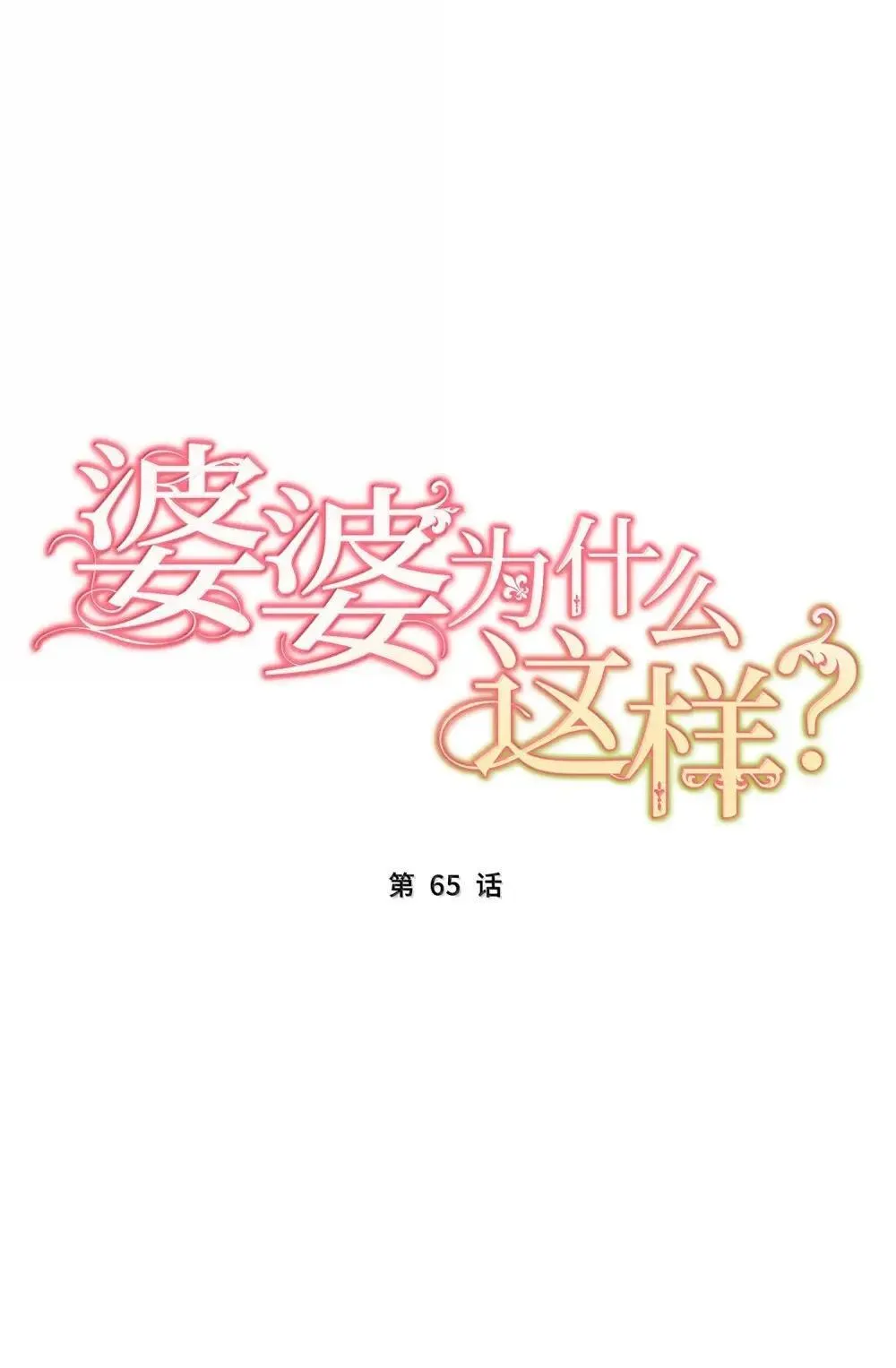 65 65 第13页