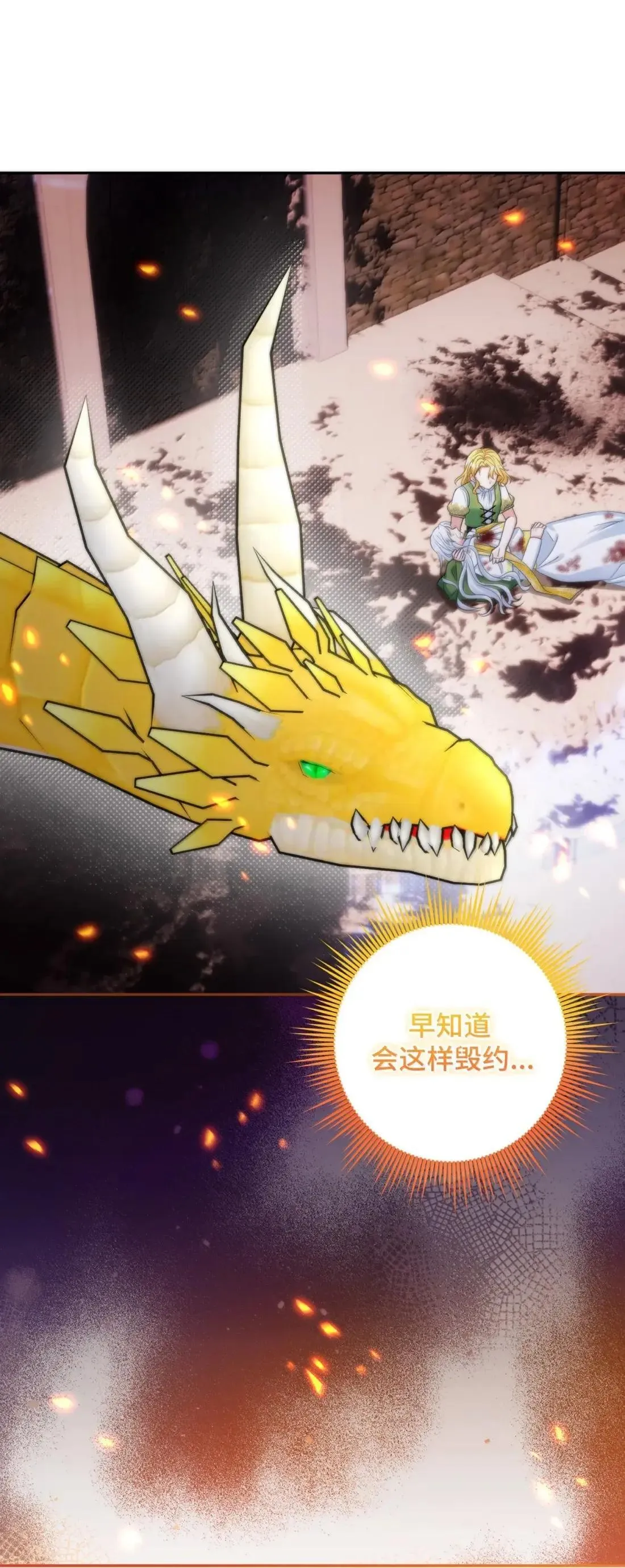 71 71 第39页