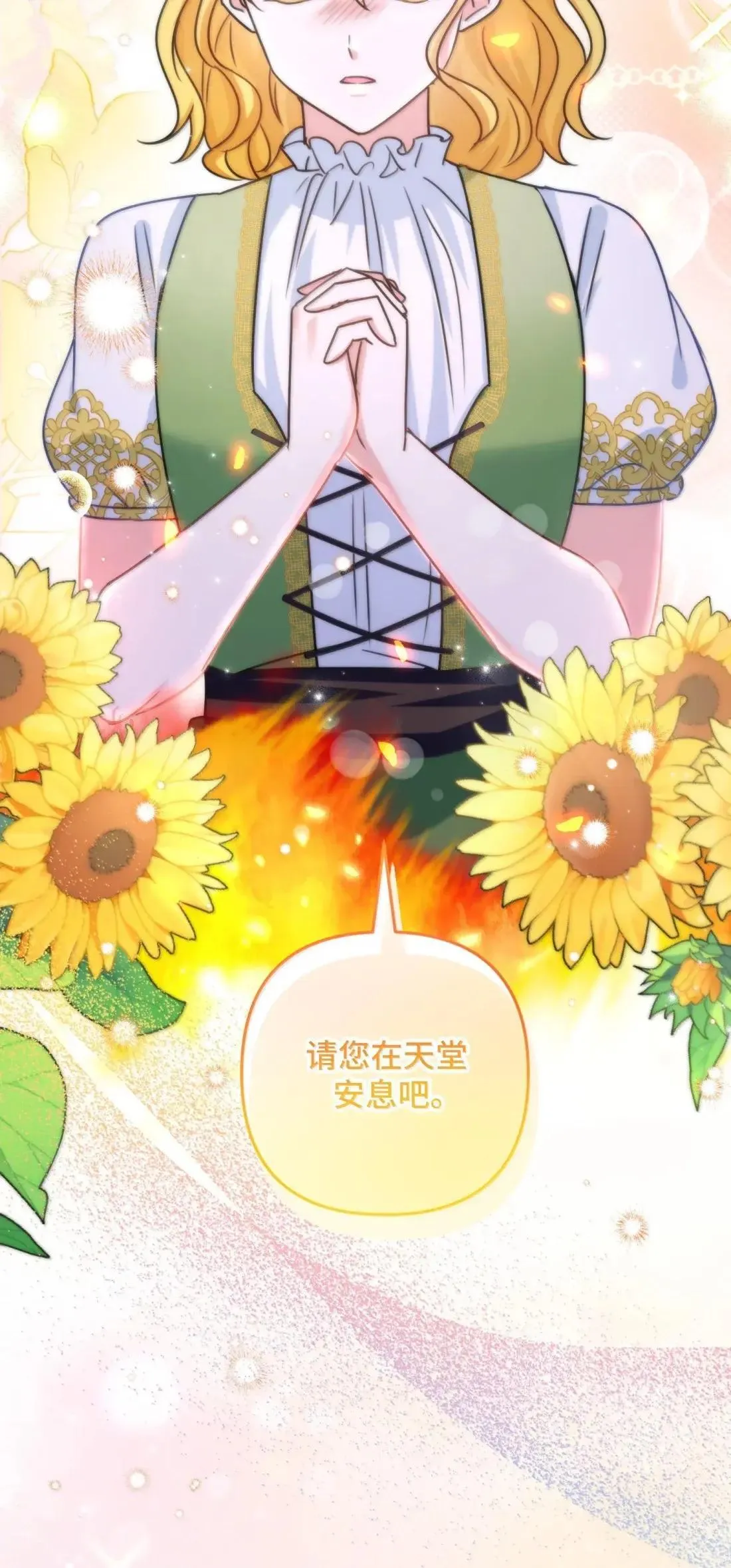 71 71 第46页