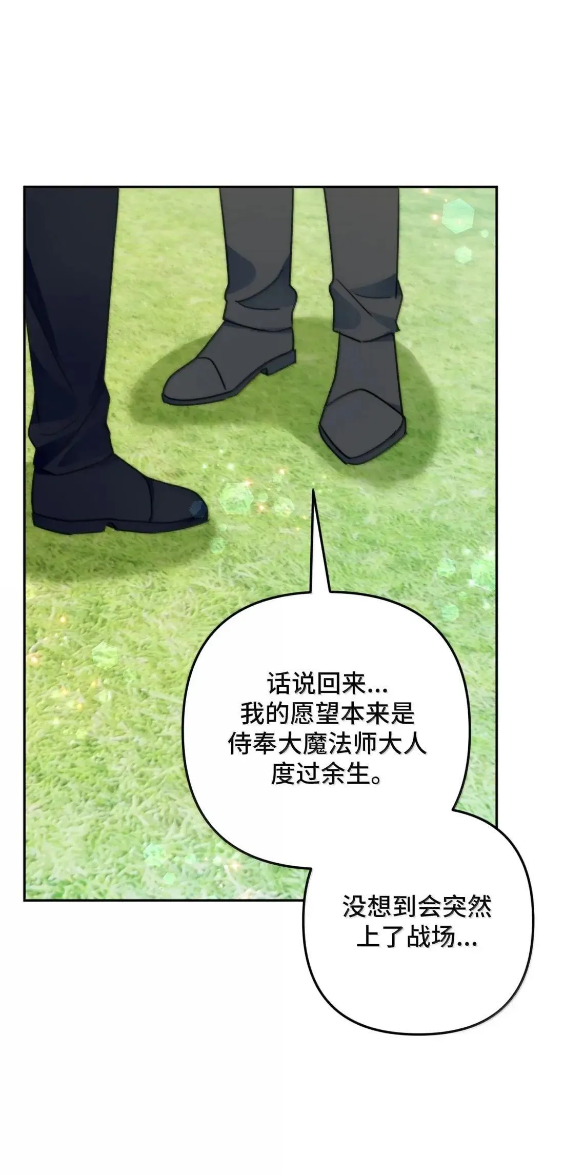 73 73 第53页