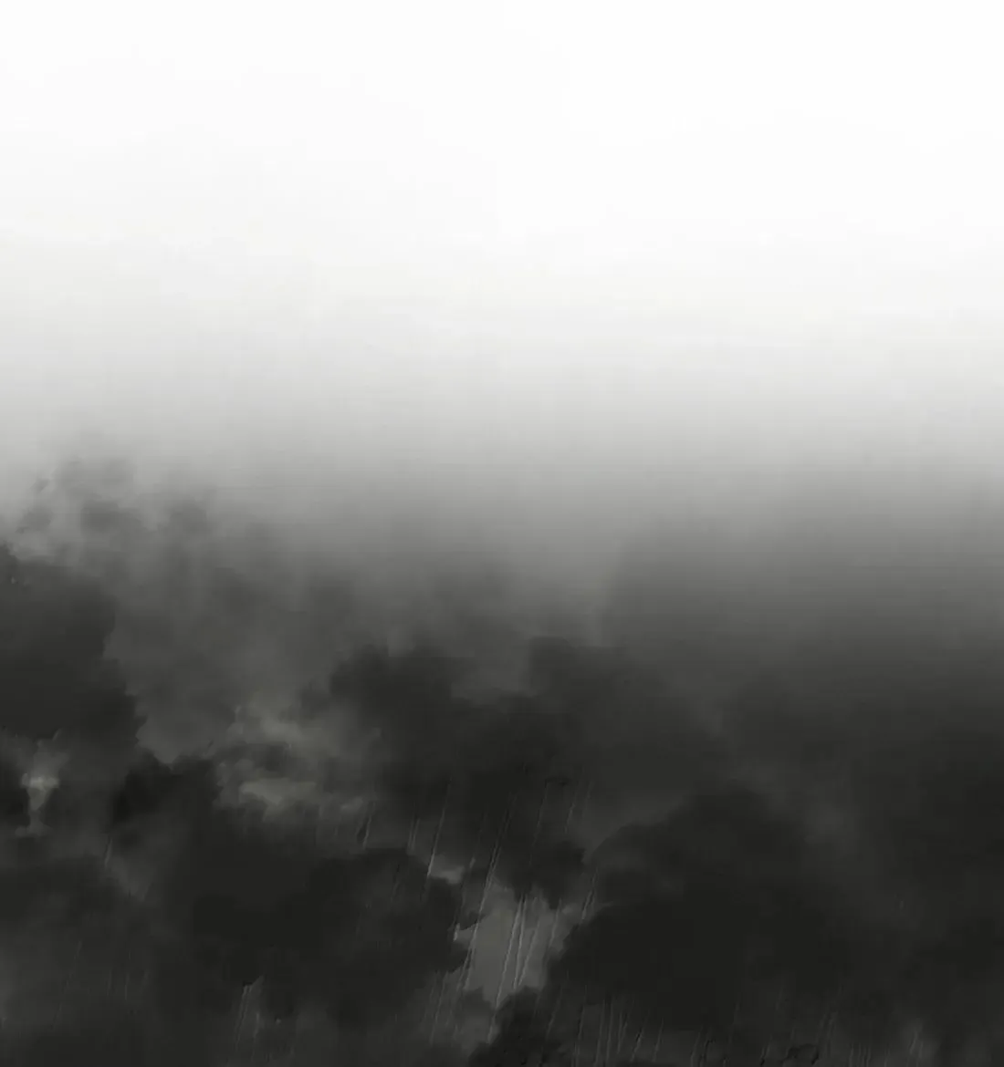 79 79 第58页
