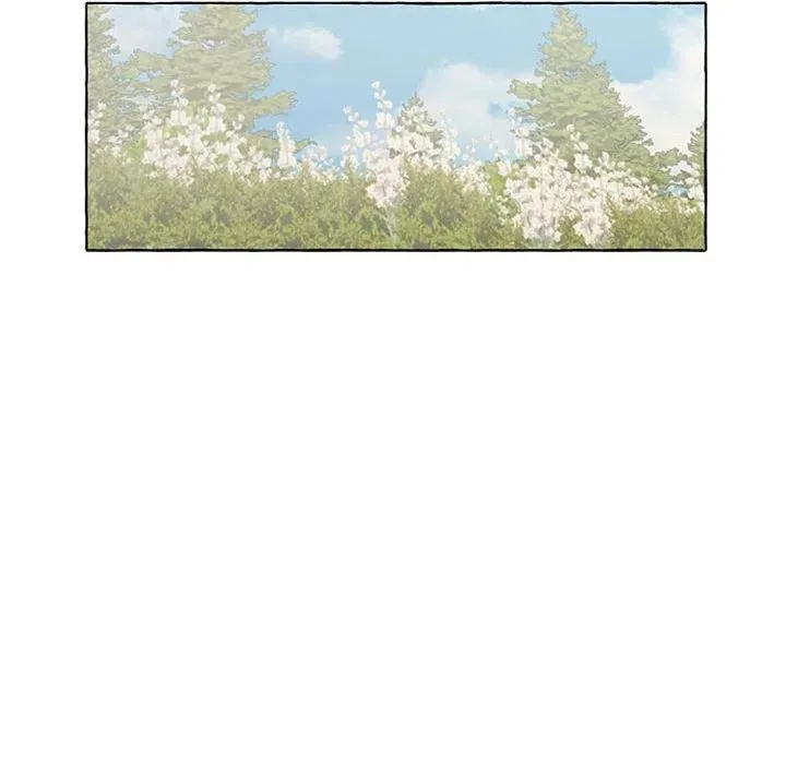 48 第91页