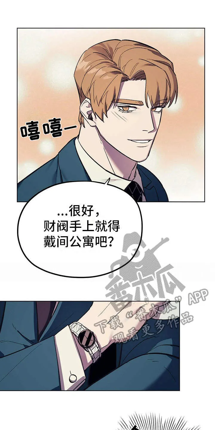 第13章：代表理事 第17页